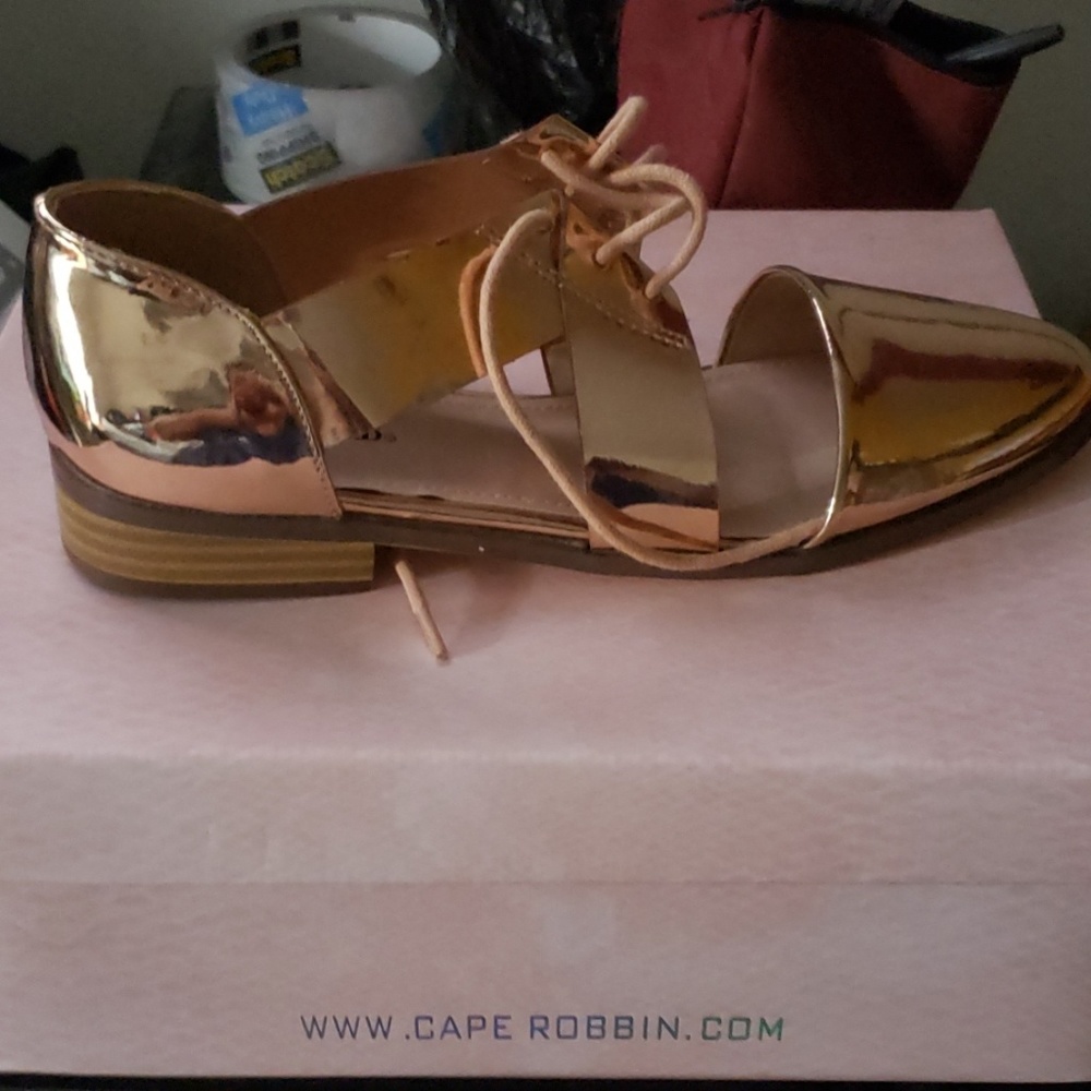 Flats gold shoe